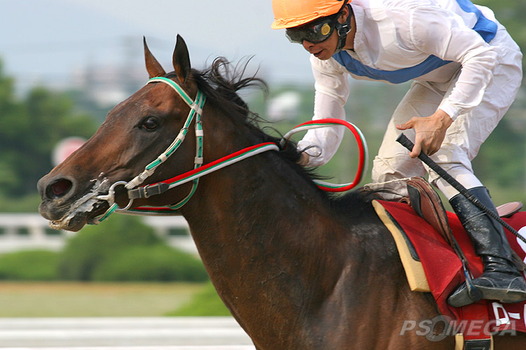 ロードバクシンと岩田騎手