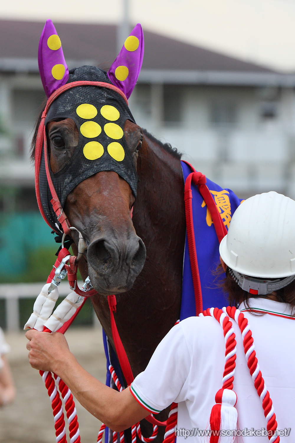 オッズパークグランプリ2009