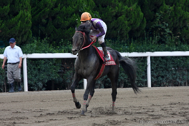 園田フレンドリーカップ